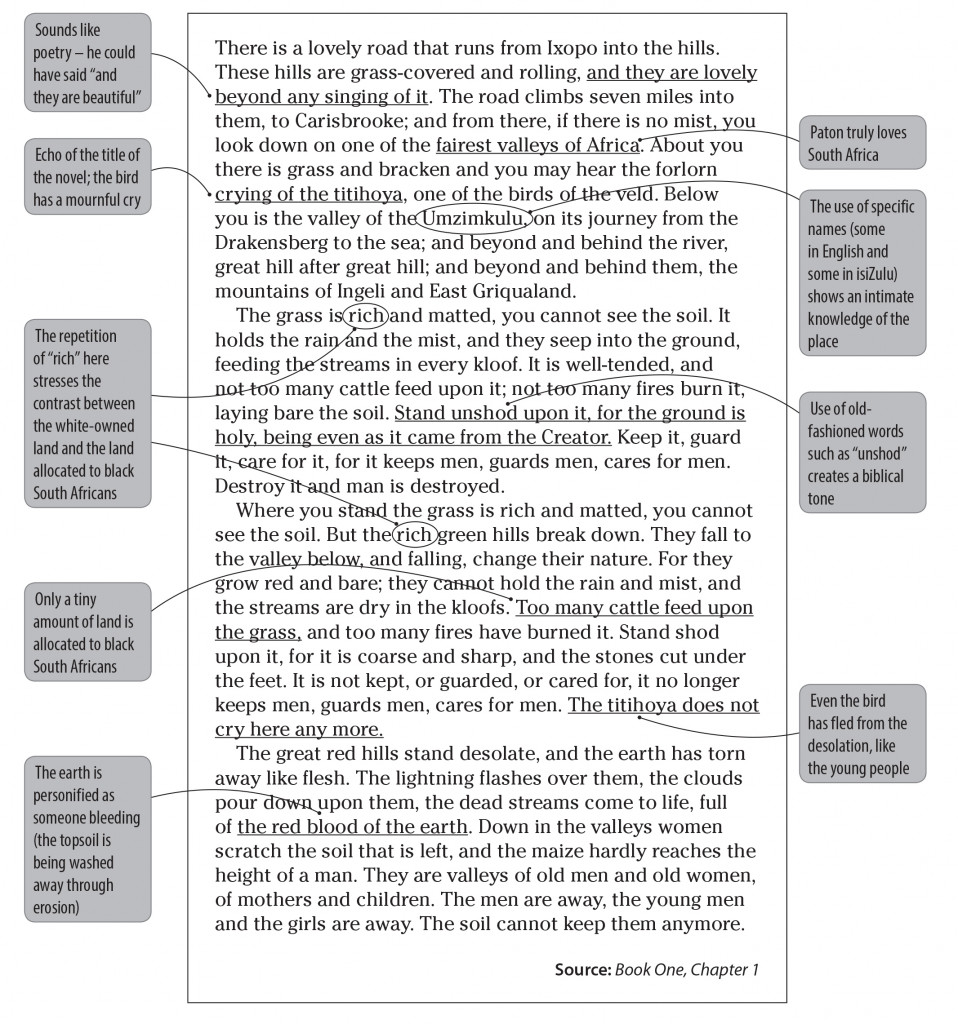 Analysing an extract